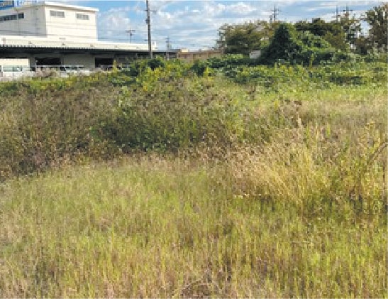 その他 危険木伐採・草刈り