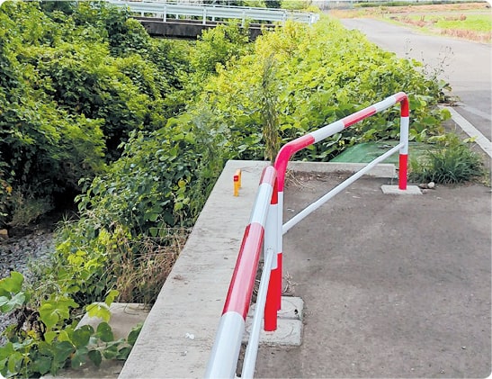 その他 危険木伐採・草刈り